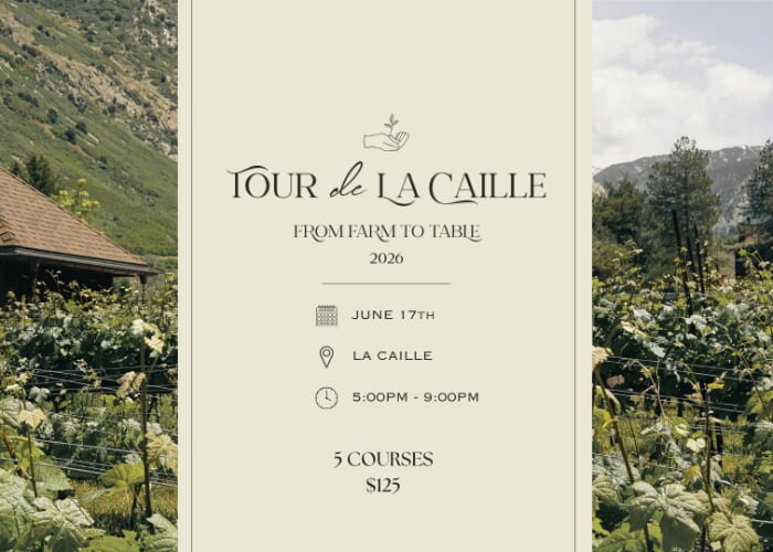 Tour de La Caille