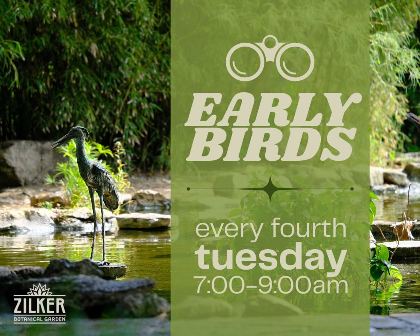 Early Birds in the Garden