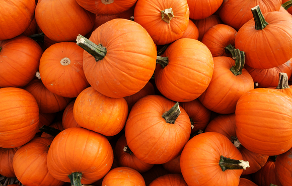 Happy Haunted Hayride (2-7 yrs)