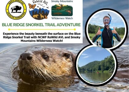 Blue Ridge Snorkel Trail Adventure