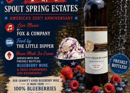 4th of July Celebration