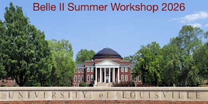 Belle II Summer Workshop 2026