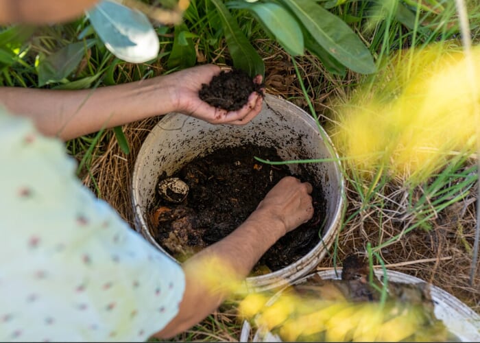 Vermicomposting 101 Workshop