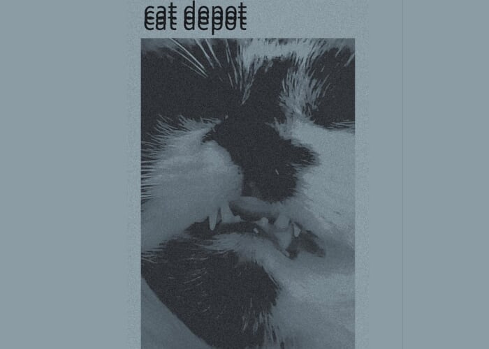 Cat Depot