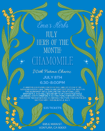 July Herb of the Month: Chamomile with Fatima Chavez