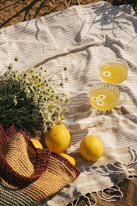 Summer Solstice Potluck Gathering