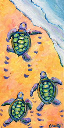 Kid's  TURTLE RETURN