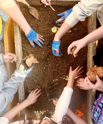 Junior Archaeologists: Hands On Archaeology for Kids
