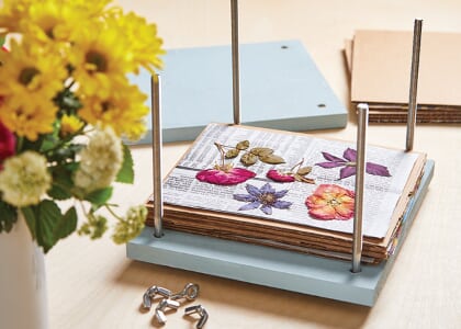 Collecting and Preserving Spring Blooms: A Hands-On Botanical Workshop