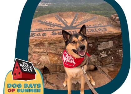 Rock City’s Dog Days of Summer Kick Off