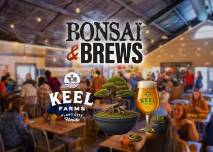 Bonsai and Brews