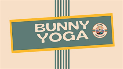 Mother's Day Bunny Yoga