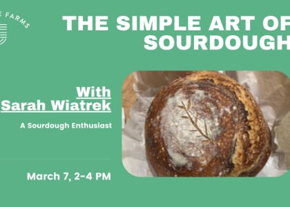 The Simple Art of Sourdough