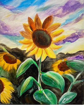 Sunflower Sky Orchid In Bloom