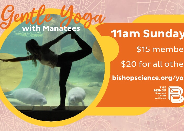 Yoga with the Manatees - Tampa Bay Times - Events