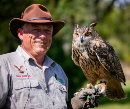 Modern Dinosaurs: Raptors and Ravens in Flight with Wildlife Revealed