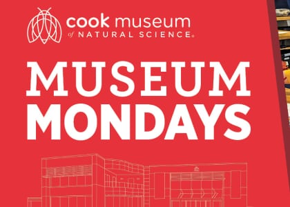 Museum Mondays