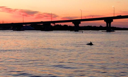 Dolphin Beach Walk