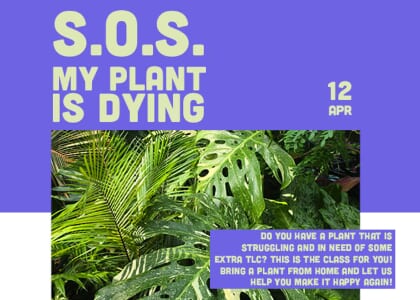 S.O.S. My Plant is Dying
