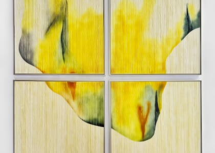 Open Thresholds, a Malina Cipleu Solo Exhibit