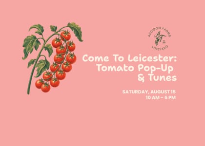 Come To Leicester: Tomato Pop Up & Tunes