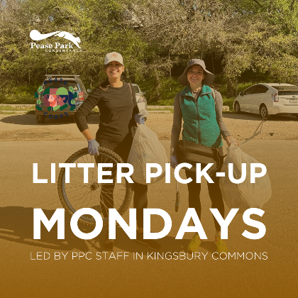 Litter Pick-Up Monday in Kingsbury Commons