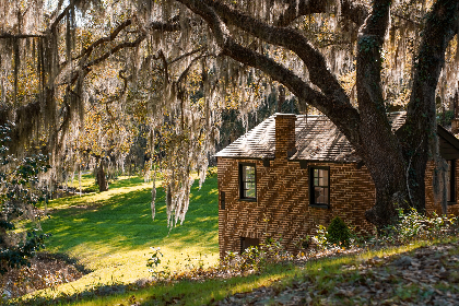 Carolina Days: Our Carolina Story