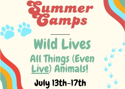 Camp Frazier: Wild Lives: All Things (Even Live) Animals!