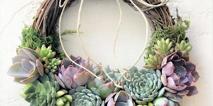 Living Succulent Wreath