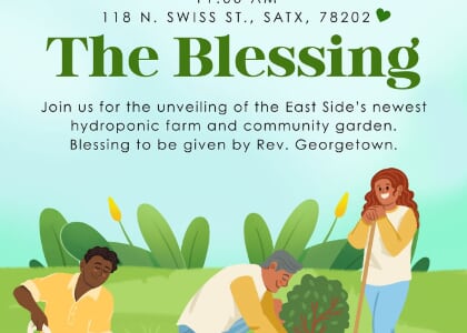 The Blessing: Hydroponic Garden Unveiling
