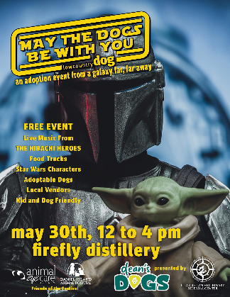 May the Dogs Be With You - A Dog Adoption Event at Firefly