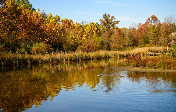 Feedback Sought to Help Shape the Future of Howard County Recreation & Parks