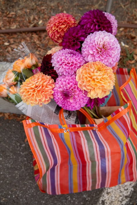 Scotts Valley Farmers Market