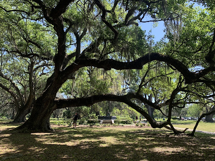 Introduction to Mindfulness Meditation - Plaza Midwood