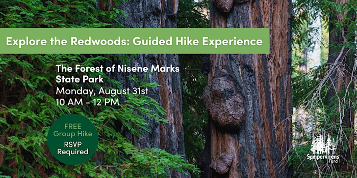 Guided Hike at Nisene Marks State Park
