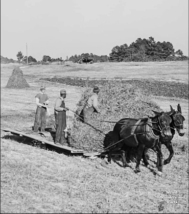 Artist Reception - Where the Land Remembers: Farming in Old Fort