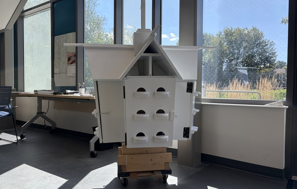 Bird House Installation