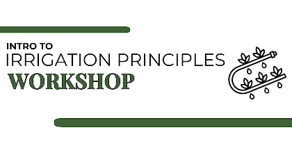 Drip by Drip: Irrigation Plumbing Principles