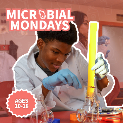 MICROBAL MONDAY