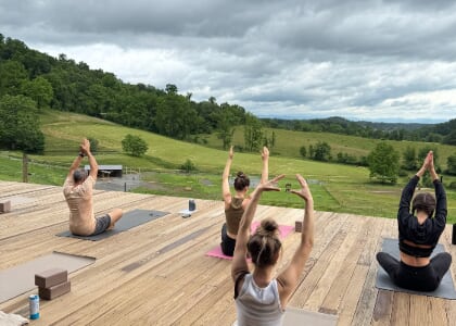 Yoga Among the Horses