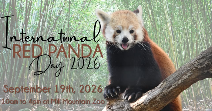 International Red Panda Day
