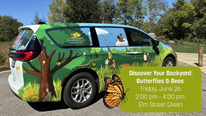 Discover Your Backyard: Butterflies & Bees