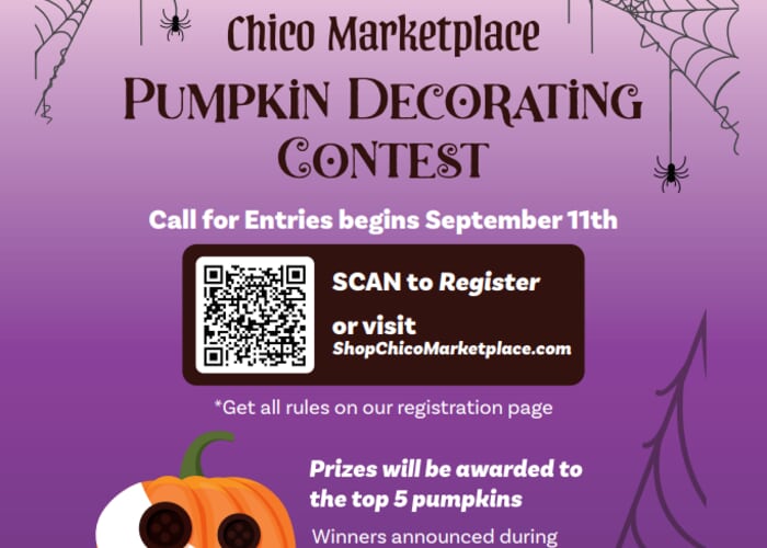 Chico Marketplace Pumpkin Decorating Contest