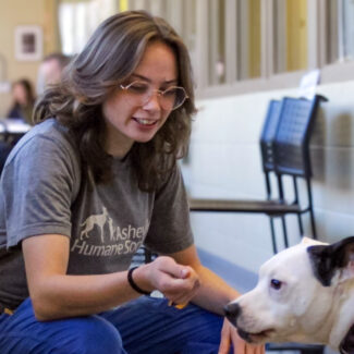 Canine Manners with Miranda Cook, CPDT-KA