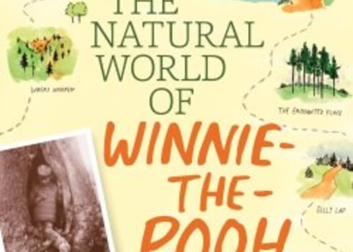 Celebrating a Literary Treasure: Winnie-the-Pooh at 100