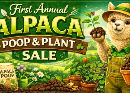 Alpaca Poop & Plant Sale