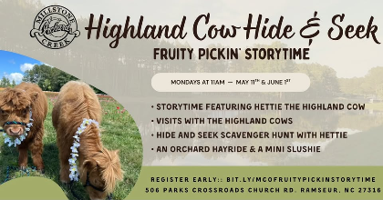 Fruity Pickin' Storytime ~ Highland Cow Hide & Seek
