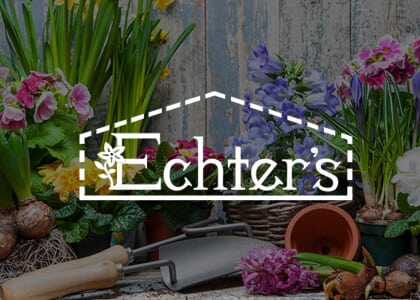 Early Spring Punch List