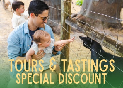 8/13 Tours and Tastings