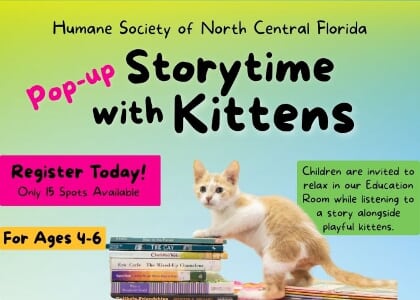 Storytime with Kittens